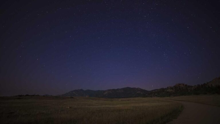 How To Sign Up For A 99Exch Account Step By Step?